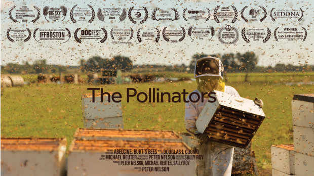 Promítání filmu Kam mizí včely + Přednáška Včely samotářky a jiní opylovači